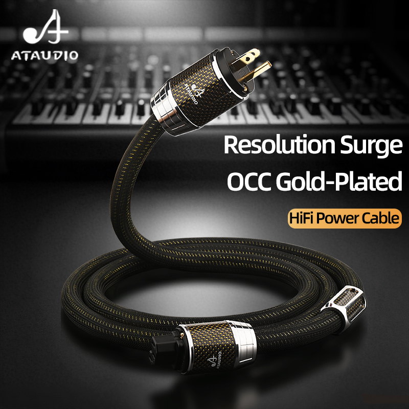 ATAUDIO สายไฟไฮไฟพร้อมปลั๊กชุบ - Carbon Filter Inline บทวิจารณ์และราคา