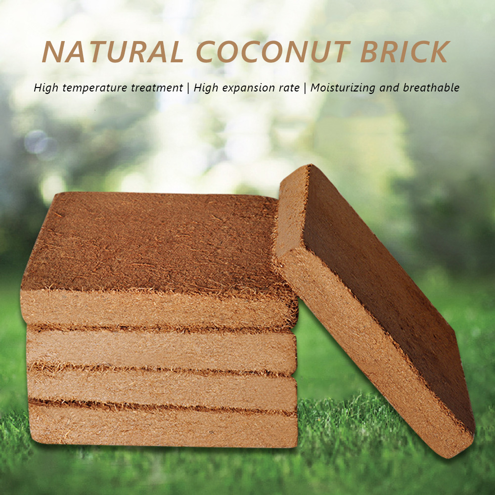 บล็อกปลูกต้นไม้จากใยมะพร้าวออร - Coco Coir Block บทวิจารณ์และราคา